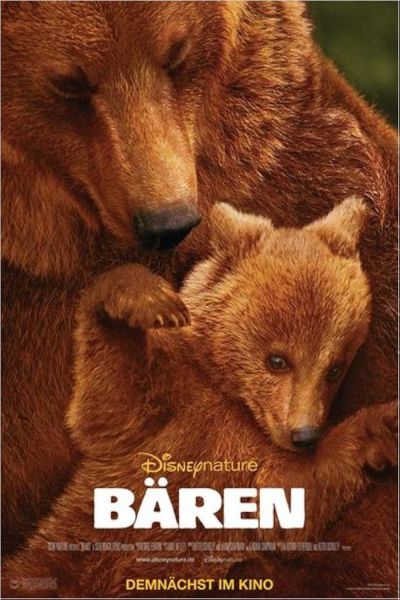 Bears Poster