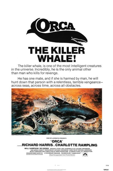 Orca Poster
