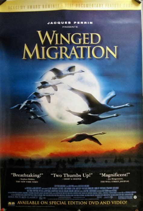 Winged Migration Poster